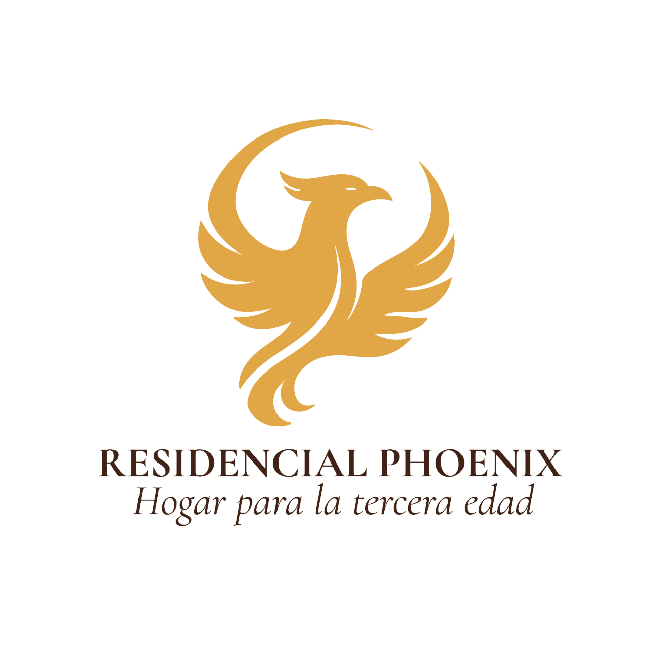 My Website